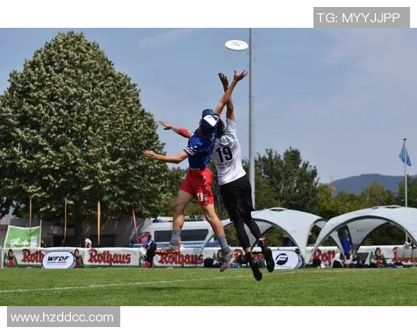 广州飞盘队默契配合的战术分析与实战经验分享