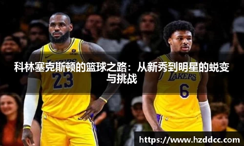 蓝狮在线app